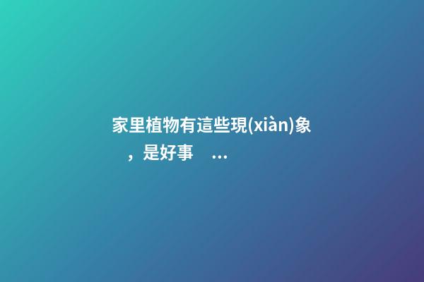 家里植物有這些現(xiàn)象，是好事，預(yù)示你家要發(fā)大財(cái)了！